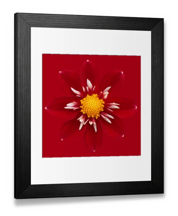Framed Print : Christmas Carol Framed Print : Christmas Carol