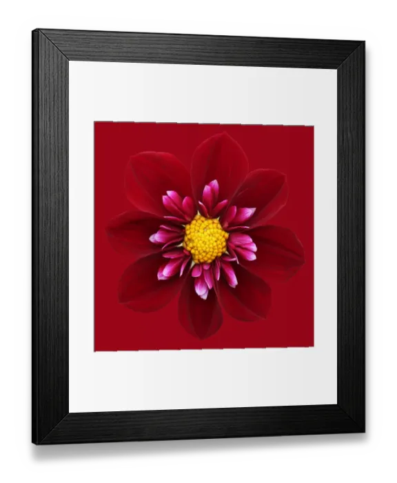Framed Print : Hillcrest Regal Framed Print : Hillcrest Regal