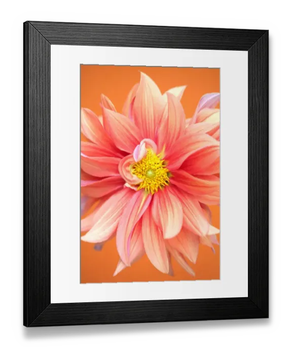 Framed Print : Orange Turmoil Framed Print : Orange Turmoil