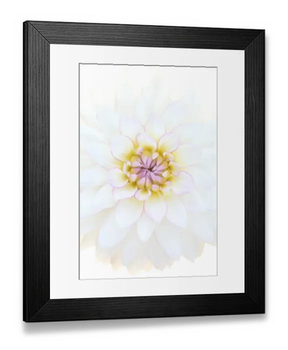 Framed Print : Crazy love Framed Print : Crazy love
