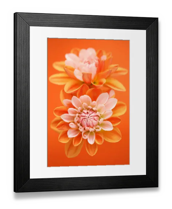 Framed Print : Coup de Soleil Framed Print : Coup de Soleil