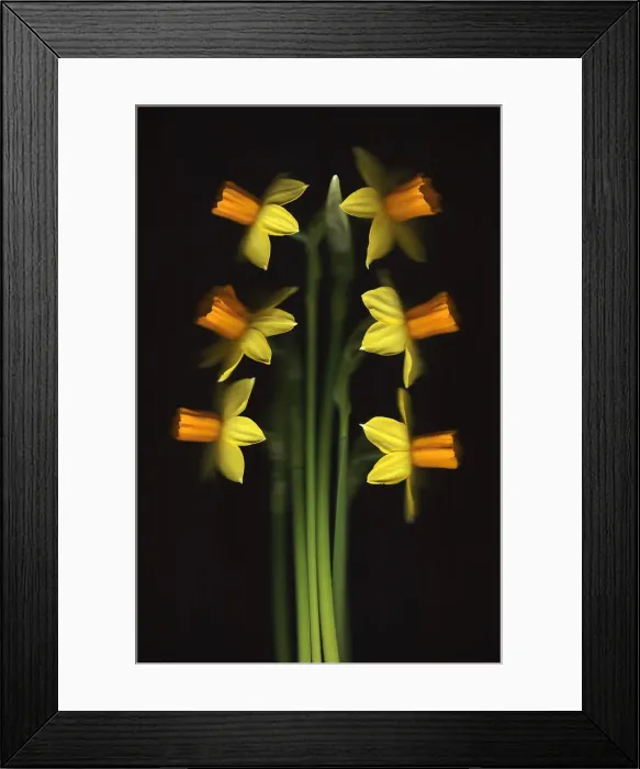 Framed Print : Tete-a-Tete Framed Print : Tete-a-Tete