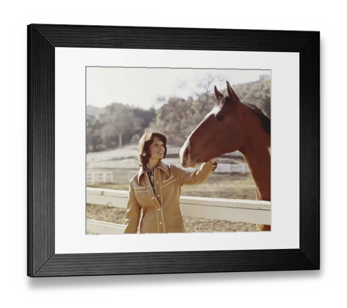 Framed Print : Woman stroking horse beside fence Framed Print : Woman stroking horse beside fence