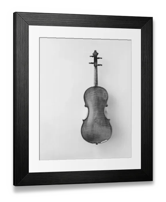 Framed Print : Violin against white background, close-up Framed Print : Violin against white background, close-up