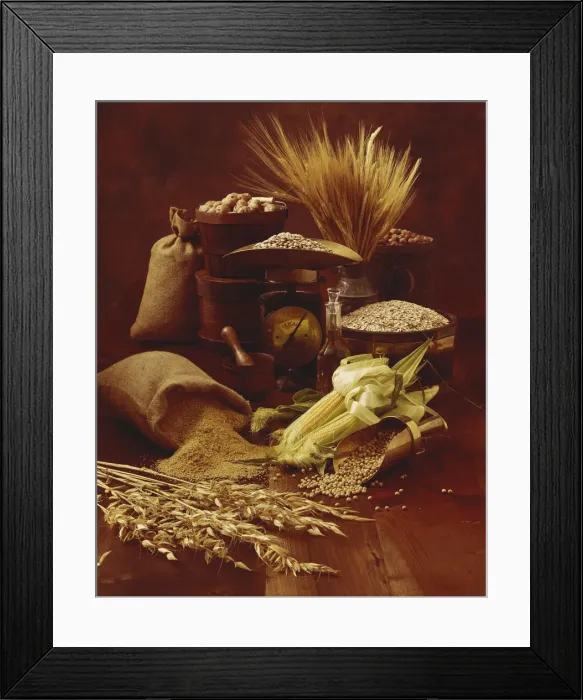 Framed Print : Various cereal with corn cobs Framed Print : Various cereal with corn cobs