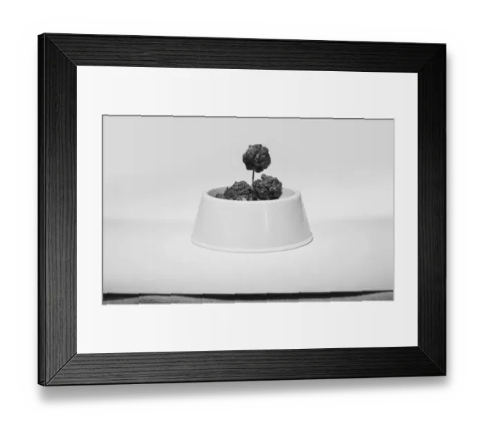 Framed Print : Bowl of meatballs against white background, close-up Framed Print : Bowl of meatballs against white background, close-up