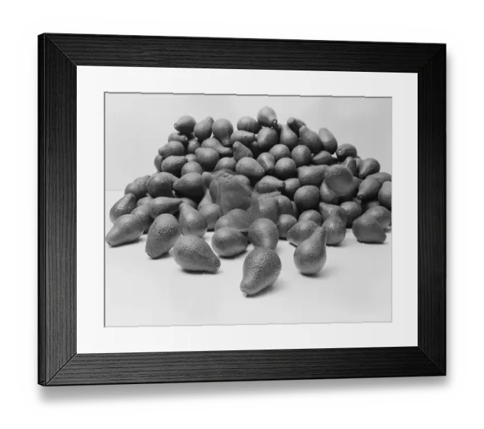 Framed Print : Avocados in motion on white background Framed Print : Avocados in motion on white background