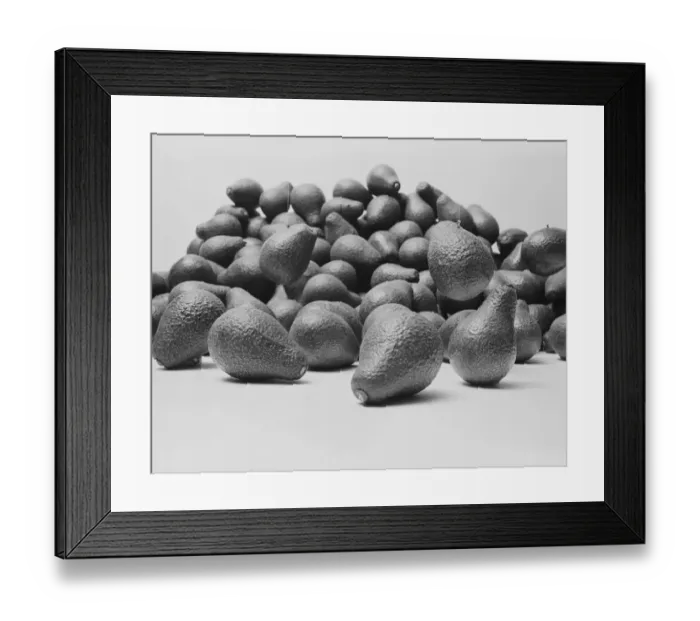 Framed Print : Avocados on white background