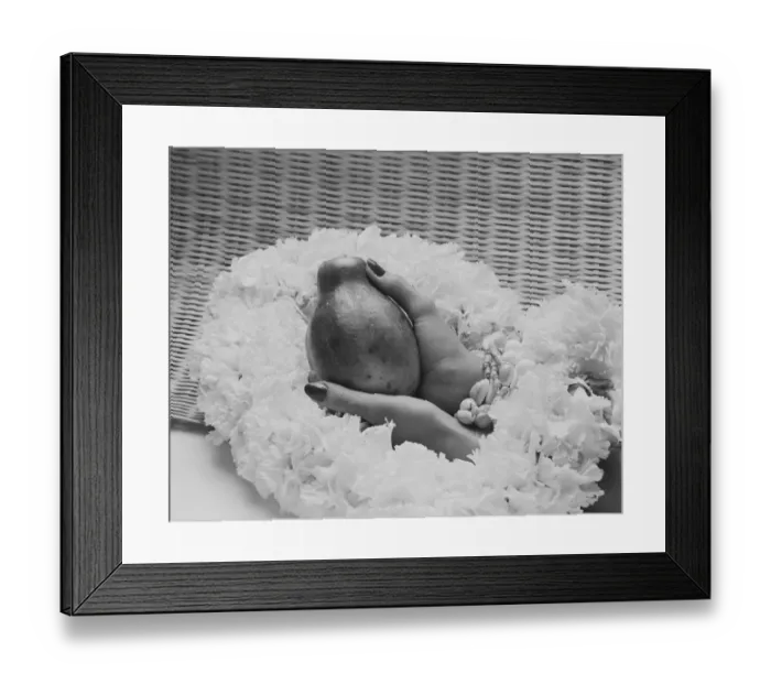 Framed Print : Woman holding papaya, close-up Framed Print : Woman holding papaya, close-up