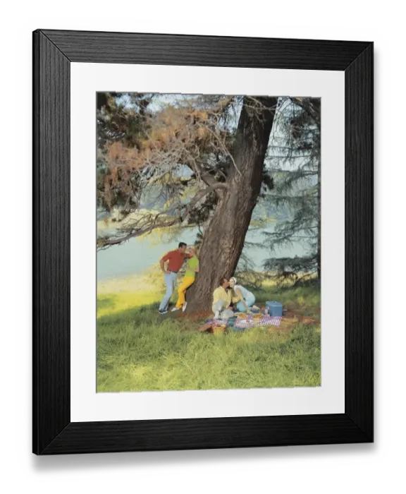 Framed Print : Couples resting under tree Framed Print : Couples resting under tree
