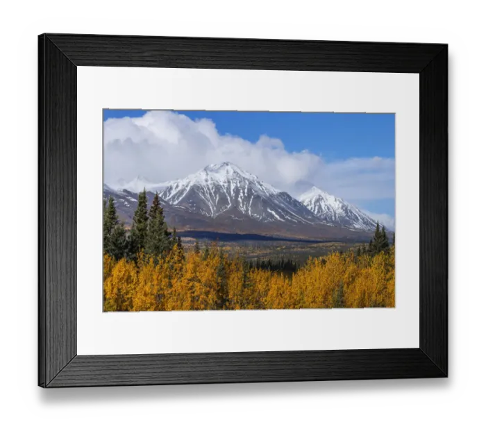 Framed Print : Autumn scenic along the Alaska Highway, Kluane National Park, St. Elias Mountains, Yukon Territory, Canada