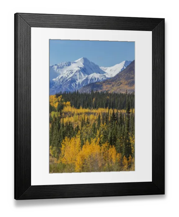 Framed Print : Autumn scenic along the Alaska Highway, Kluane National Park, St. Elias Mountains, Yukon Territory, Canada Framed Print : Autumn scenic along the Alaska Highway, Kluane National Park, St. Elias Mountains, Yukon Territory, Canada