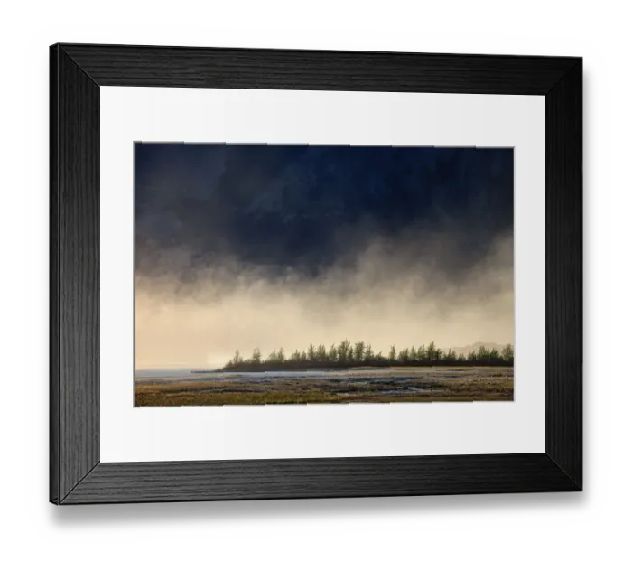 Framed Print : Trees by Slims River Framed Print : Trees by Slims River
