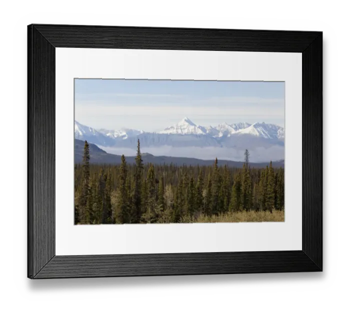 Framed Print : Boreal forest, St. Elias Mountains, Kluane National Park and Reserve, from Alaska Highway, Yukon Territory, Canada