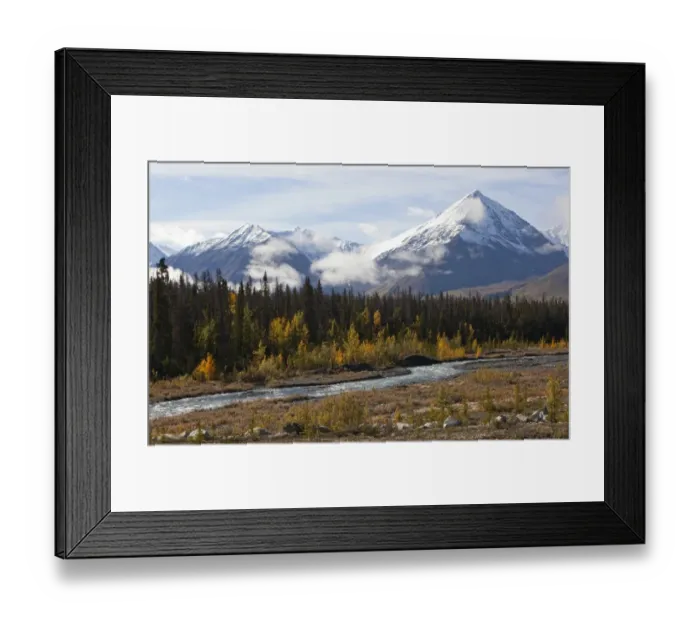 Framed Print : Quill Creek, Indian summer, leaves in fall colours, autumn, St. Elias Mountains, Kluane National Park and Reserve behind, Yukon Territory, Canada Framed Print : Quill Creek, Indian summer, leaves in fall colours, autumn, St. Elias Mountains, Kluane National Park and Reserve behind, Yukon Territory, Canada