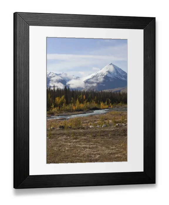 Framed Print : Quill Creek, Indian summer, leaves in fall colours, autumn, St. Elias Mountains, Kluane National Park and Reserve behind, Yukon Territory, Canada Framed Print : Quill Creek, Indian summer, leaves in fall colours, autumn, St. Elias Mountains, Kluane National Park and Reserve behind, Yukon Territory, Canada