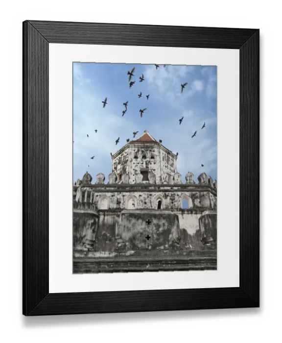 Framed Print : Birds flying over Phra Sumen Fort Framed Print : Birds flying over Phra Sumen Fort