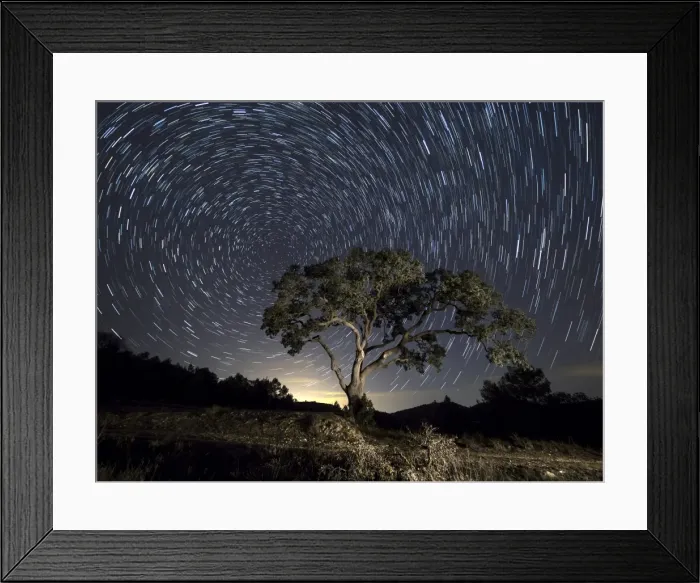 Framed Print : Tree, a night of clear sky with stars in movement Framed Print : Tree, a night of clear sky with stars in movement