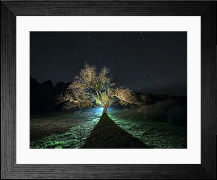 Framed Print : Great walnut in autumn one in the night with stars Framed Print : Great walnut in autumn one in the night with stars
