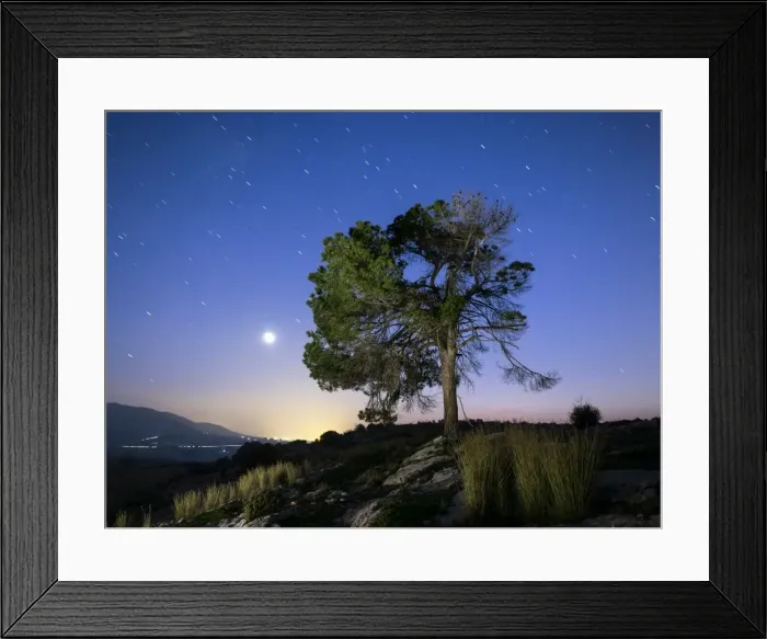 Framed Print : Tree in the top of a mountain with full moon Framed Print : Tree in the top of a mountain with full moon
