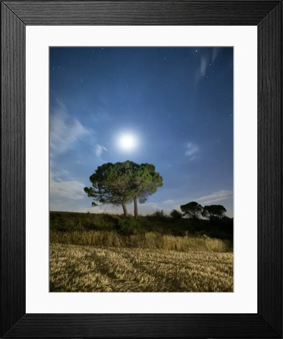 Framed Print : Solitary tree in the mountain in the night, illuminated by the full moon Framed Print : Solitary tree in the mountain in the night, illuminated by the full moon