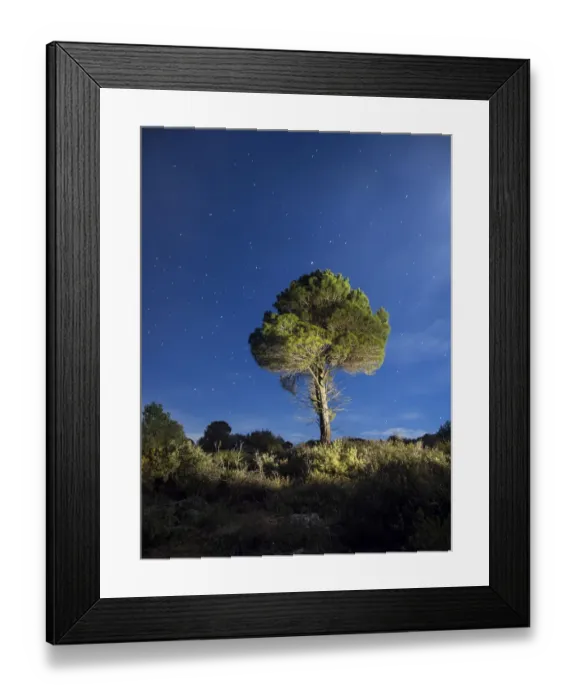 Framed Print : Solitary tree in the mountain in the night, illuminated by the full moon Framed Print : Solitary tree in the mountain in the night, illuminated by the full moon