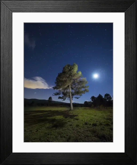 Framed Print : Solitary tree in the mountain in the night, illuminated by the full moon Framed Print : Solitary tree in the mountain in the night, illuminated by the full moon