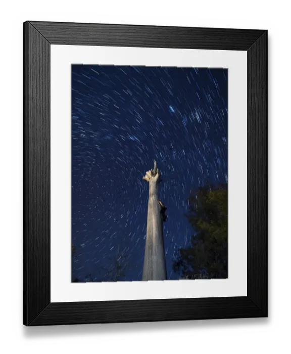 Framed Print : Silhouette of the trunk of a nake tree on a blue sky starred in the night