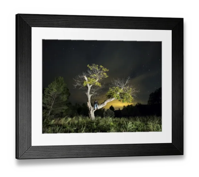 Framed Print : Man sitting on a large walnut in autumn Framed Print : Man sitting on a large walnut in autumn
