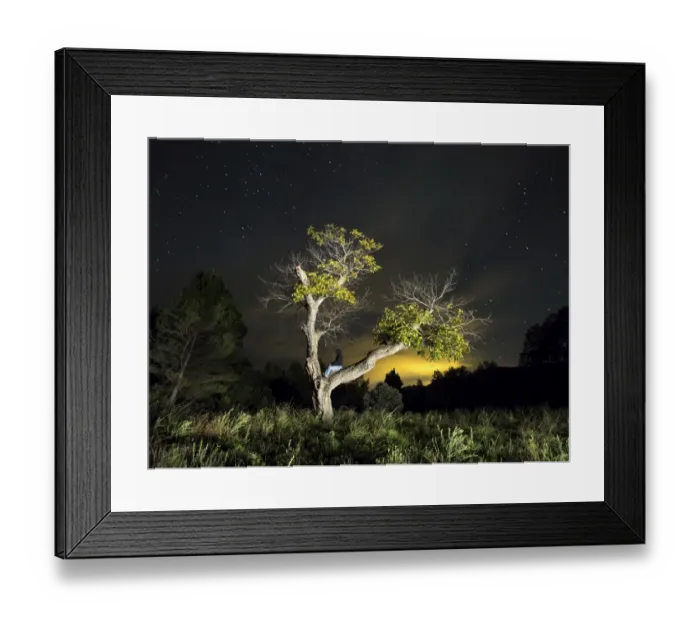 Framed Print : Man sat on a great tree one autumn night