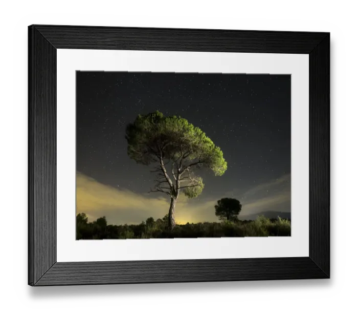 Framed Print : Solitary tree with crepuscular light and stars Framed Print : Solitary tree with crepuscular light and stars