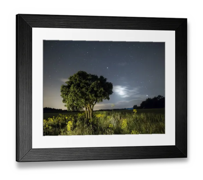 Framed Print : Moon and stars illuminating a green wheat field Framed Print : Moon and stars illuminating a green wheat field