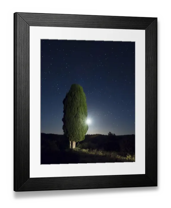 Framed Print : Cypress moon and under the stars Framed Print : Cypress moon and under the stars