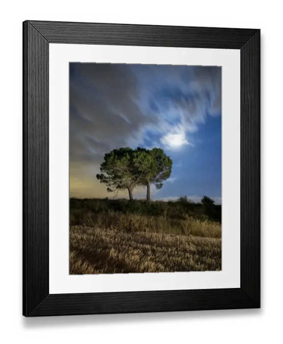 Framed Print : Trees on a moonlit field Framed Print : Trees on a moonlit field