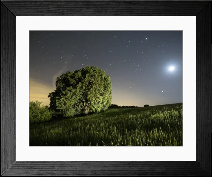 Framed Print : Wheat field with the full moon Framed Print : Wheat field with the full moon
