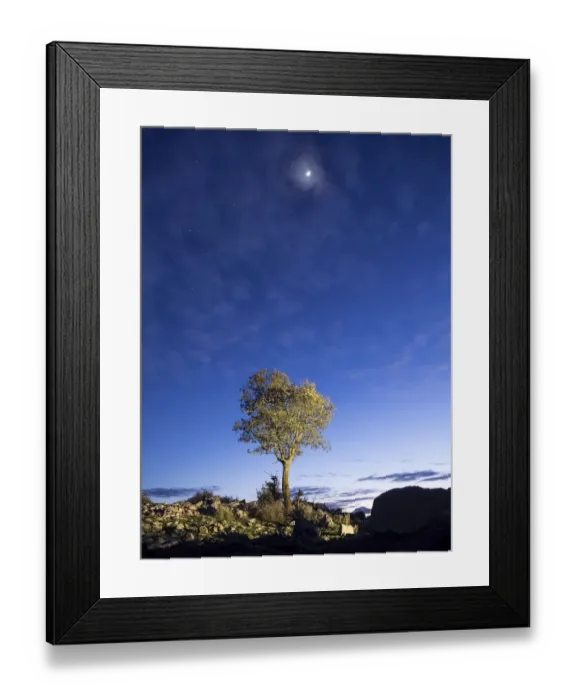 Framed Print : Solitary tree on the top of a mountain Framed Print : Solitary tree on the top of a mountain