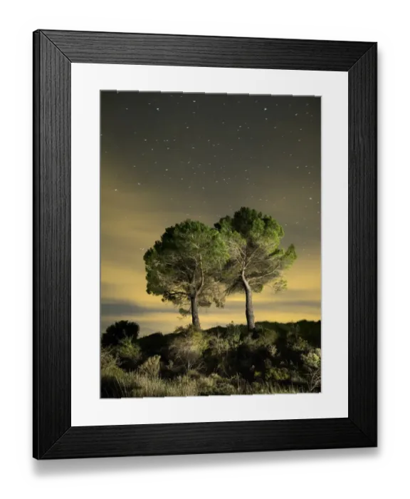 Framed Print : Pines in the top of a mountain in the night Framed Print : Pines in the top of a mountain in the night