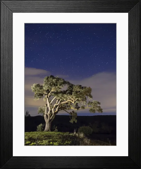 Framed Print : Big tree in the mountain a night of stars Framed Print : Big tree in the mountain a night of stars