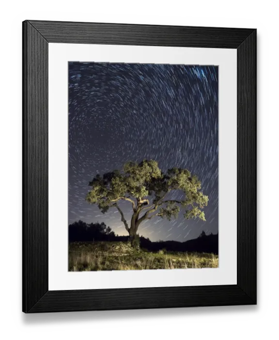Framed Print : Solitary tree in the mountain under the stars Framed Print : Solitary tree in the mountain under the stars
