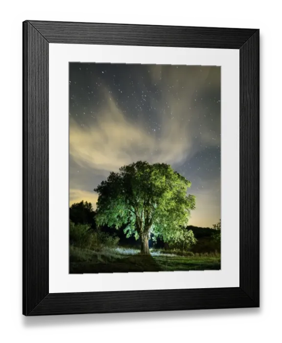 Framed Print : Celtis australis tree, over 100 years in the field illuminated by the light of the moon and a starry sky Framed Print : Celtis australis tree, over 100 years in the field illuminated by the light of the moon and a starry sky