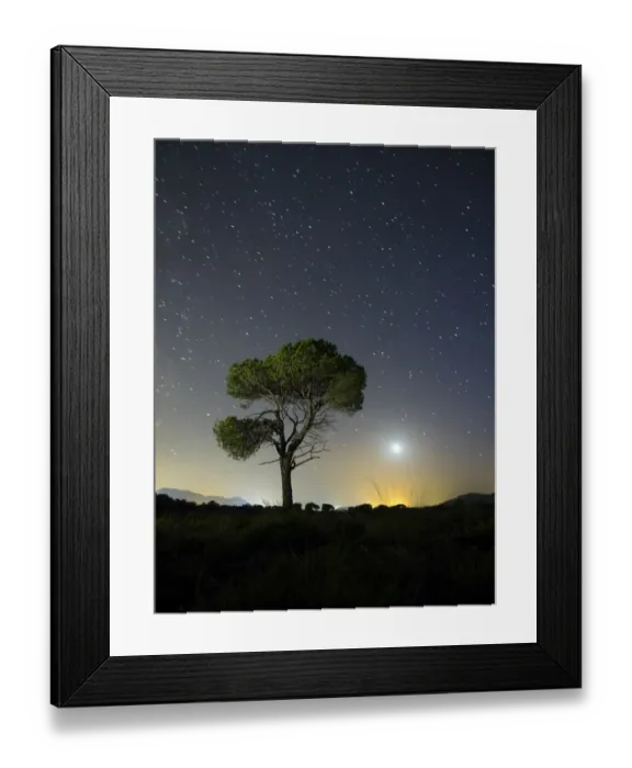 Framed Print : A tree of alone pine in the mountain, a night of blue sky of full moon and stars Framed Print : A tree of alone pine in the mountain, a night of blue sky of full moon and stars