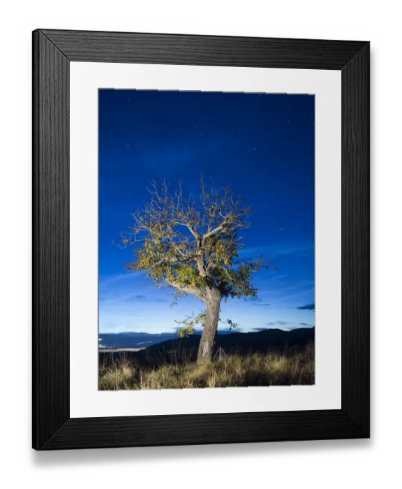 Framed Print : To get dark with a walnut at the end of autumn Framed Print : To get dark with a walnut at the end of autumn