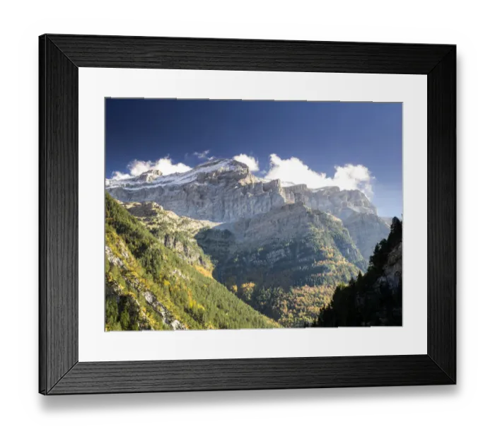 Framed Print : Tree of leaf expires in autumn in a valley with rocky covered with snow mountains with a blue sky