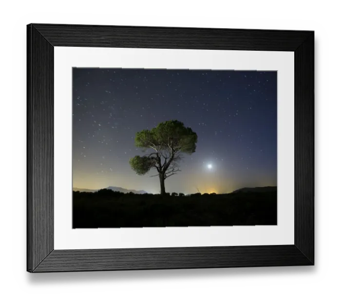 Framed Print : A tree of alone pine in the mountain, a night of blue sky of full moon and stars Framed Print : A tree of alone pine in the mountain, a night of blue sky of full moon and stars