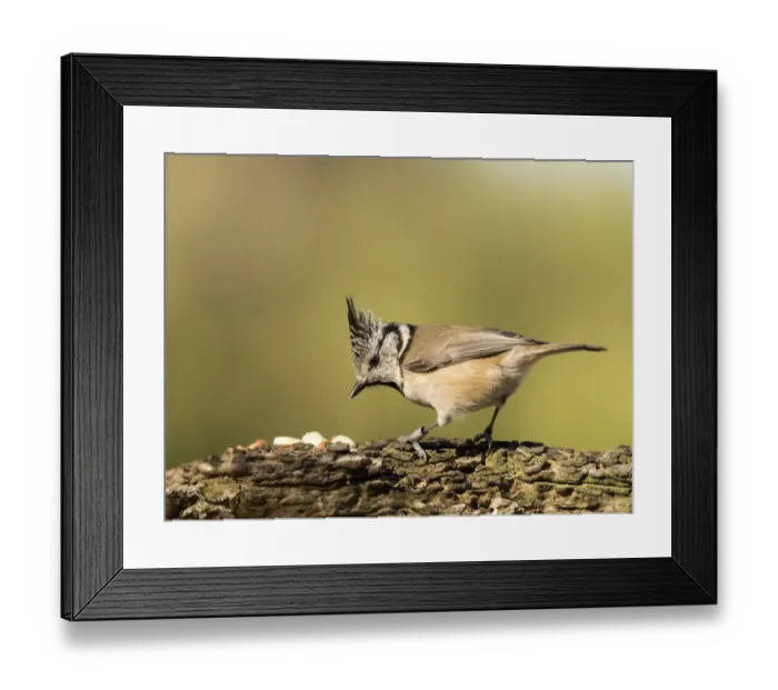 Framed Print : Jose A Bernat Bacete Framed Print : Jose A Bernat Bacete
