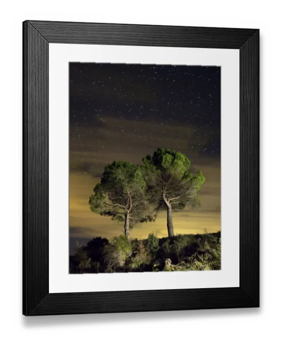 Framed Print : Two trees isolated under a sky of stars and clouds Framed Print : Two trees isolated under a sky of stars and clouds
