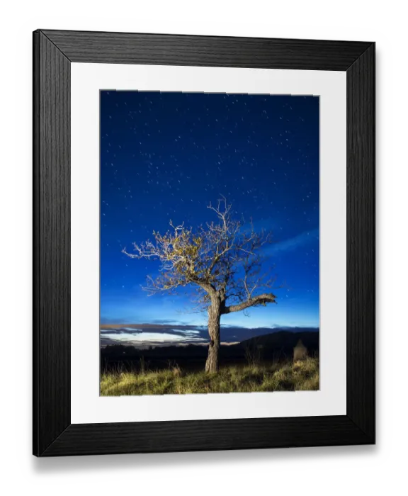 Framed Print : Tree in autumn at night Framed Print : Tree in autumn at night
