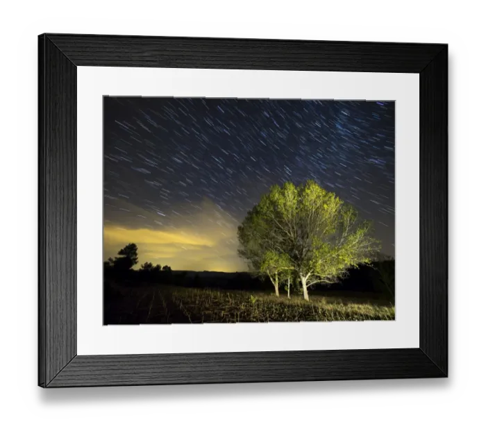 Framed Print : Small group of trees with colorful leaves under a night sky of stars moving Framed Print : Small group of trees with colorful leaves under a night sky of stars moving