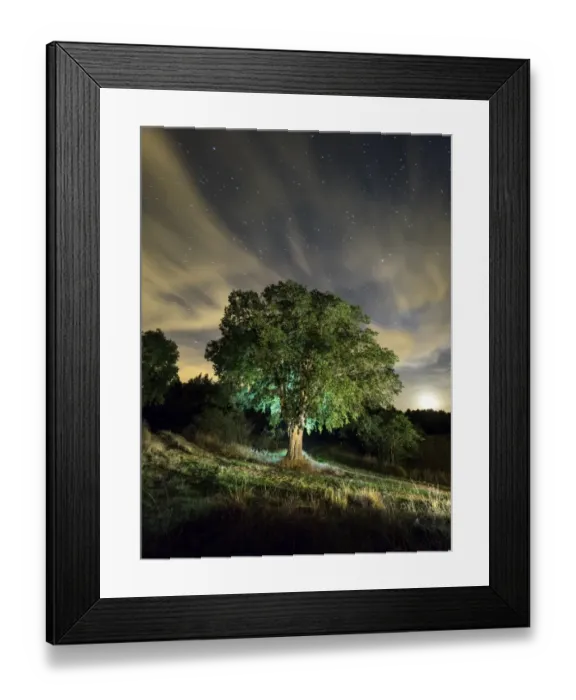 Framed Print : Celtis australis tree, over 100 years in the field illuminated by the light of the moon and a starry sky Framed Print : Celtis australis tree, over 100 years in the field illuminated by the light of the moon and a starry sky
