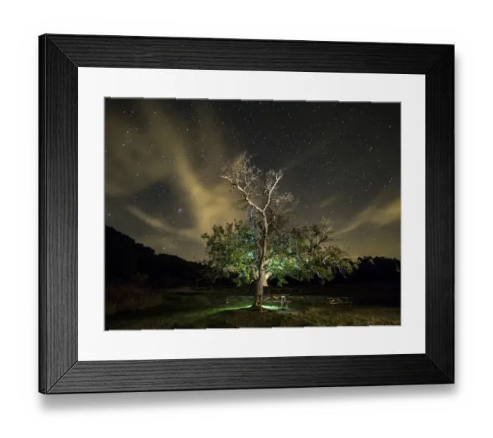 Framed Print : Great tree walnut in a zone of picnic one night with sky of stars and clouds Framed Print : Great tree walnut in a zone of picnic one night with sky of stars and clouds